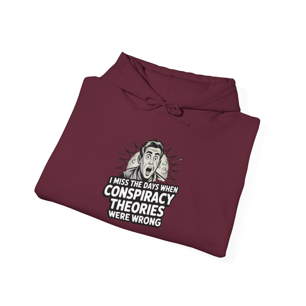 I Miss the Days When Conspiracy Theories Were Wrong Hoodie | Retro Comic Graphic Pullover