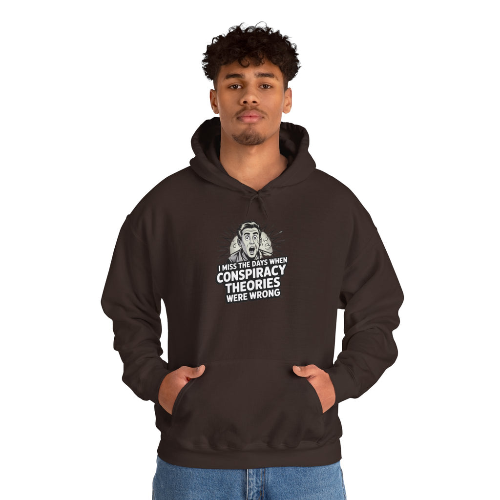 I Miss the Days When Conspiracy Theories Were Wrong Hoodie | Retro Comic Graphic Pullover