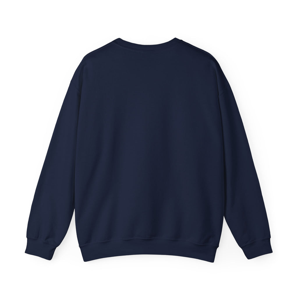 Can Macron Find His Way? Crewneck Sweatshirt | Political Satire Macron Aviator Graphic