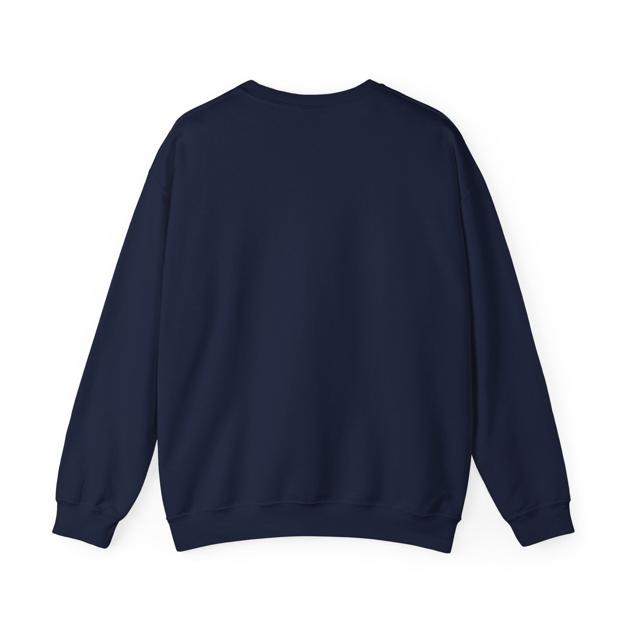 Can Macron Find His Way? Crewneck Sweatshirt | Political Satire Macron Aviator Graphic