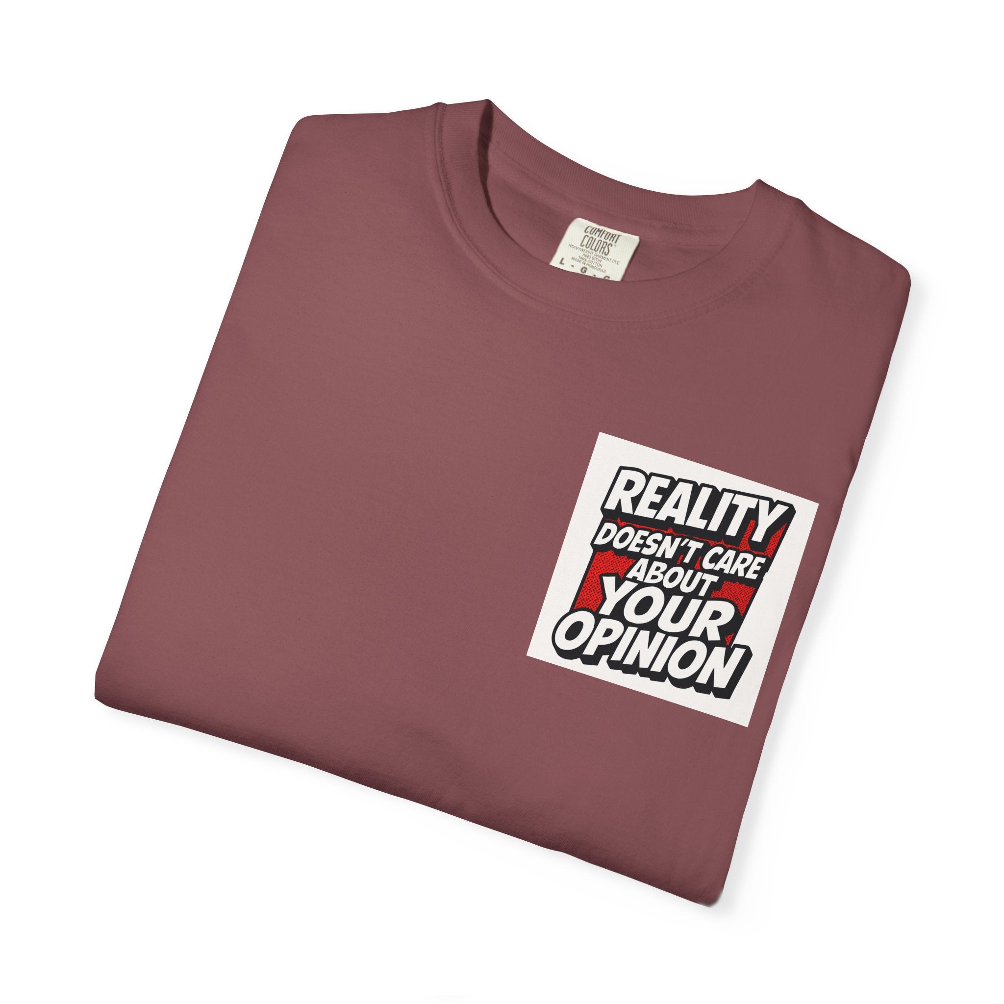 Reality Doesnt Care About Your Opinion | Garment Dyed Unisex T-Shirt | Comfort Colors 1717