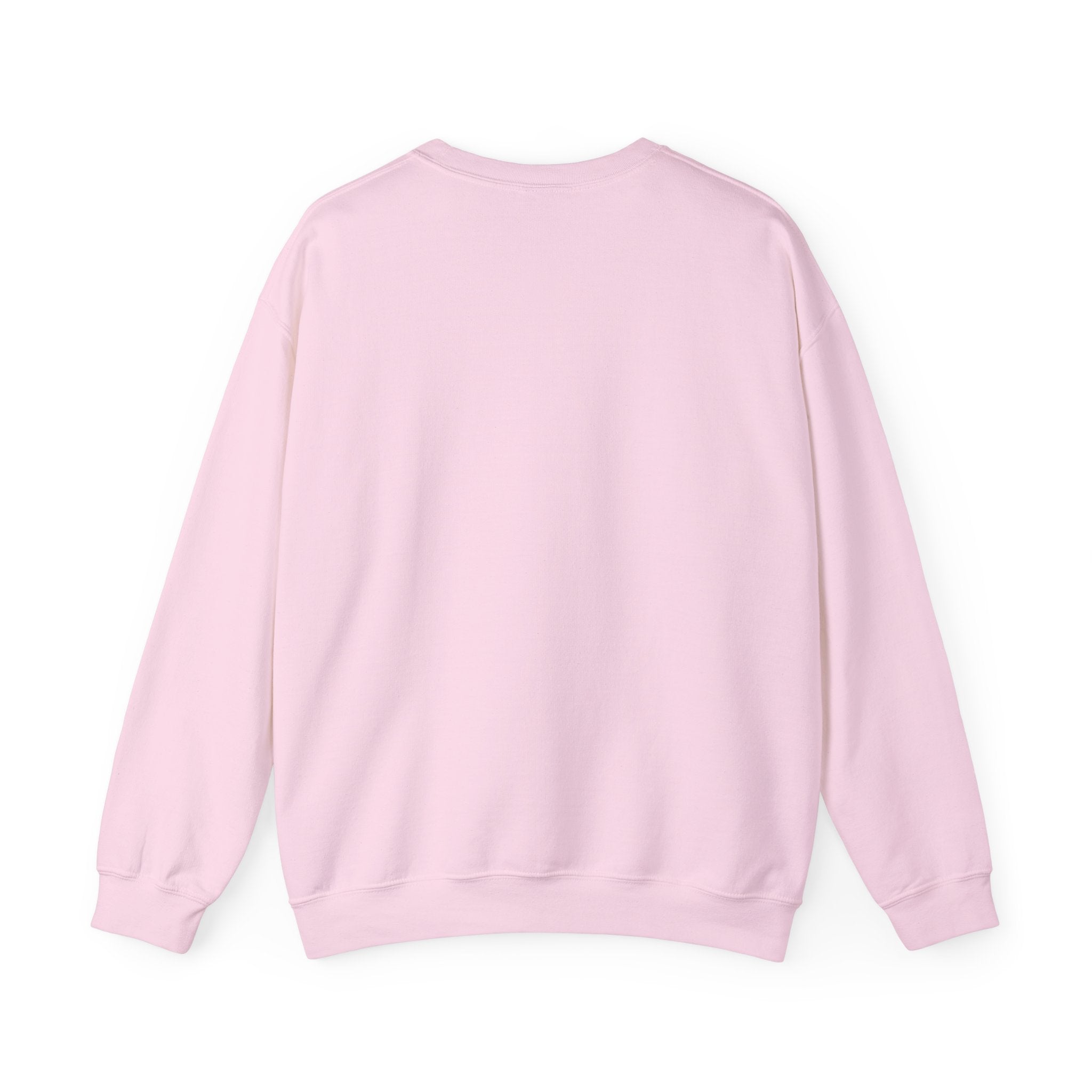Can Macron Find His Way? Crewneck Sweatshirt | Political Satire Macron Aviator Graphic