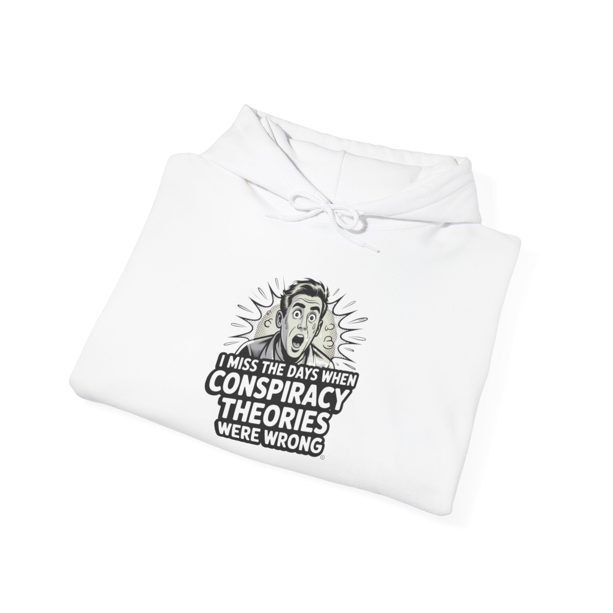 I Miss the Days When Conspiracy Theories Were Wrong Hoodie | Retro Comic Graphic Pullover