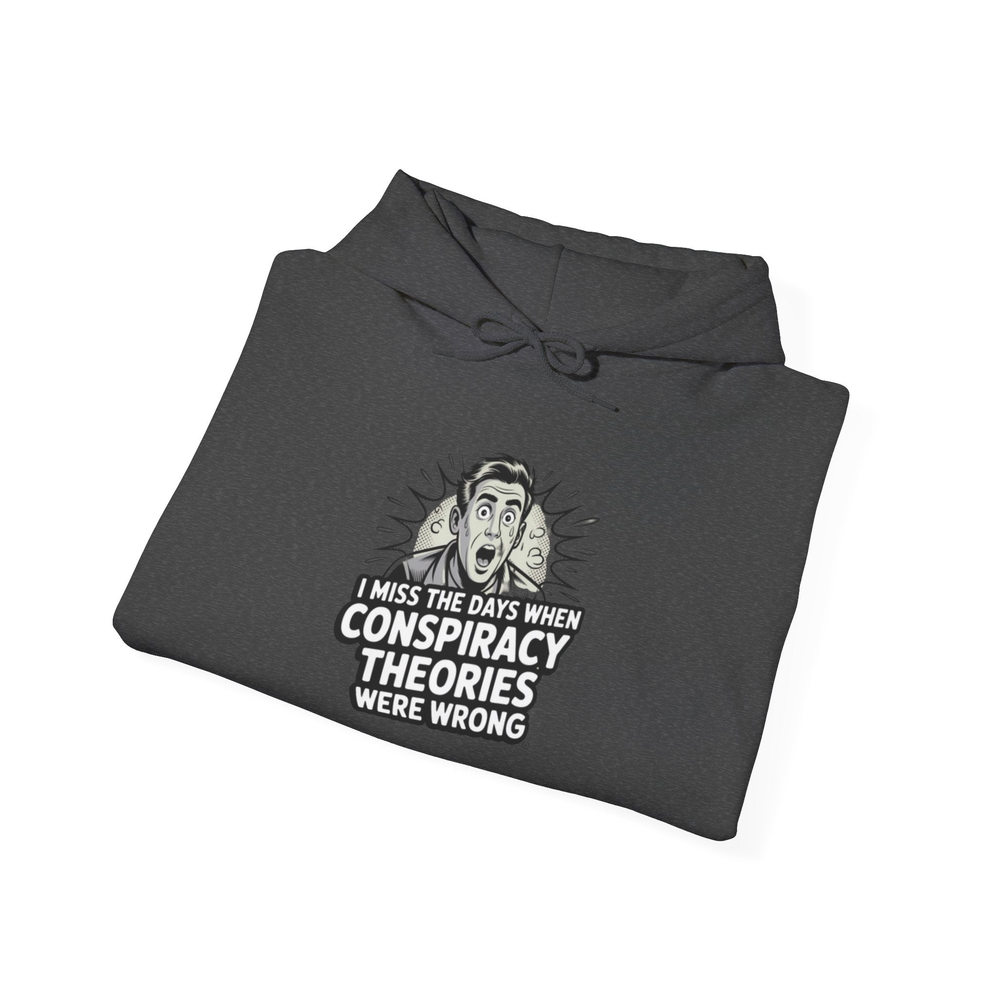 I Miss the Days When Conspiracy Theories Were Wrong Hoodie | Retro Comic Graphic Pullover