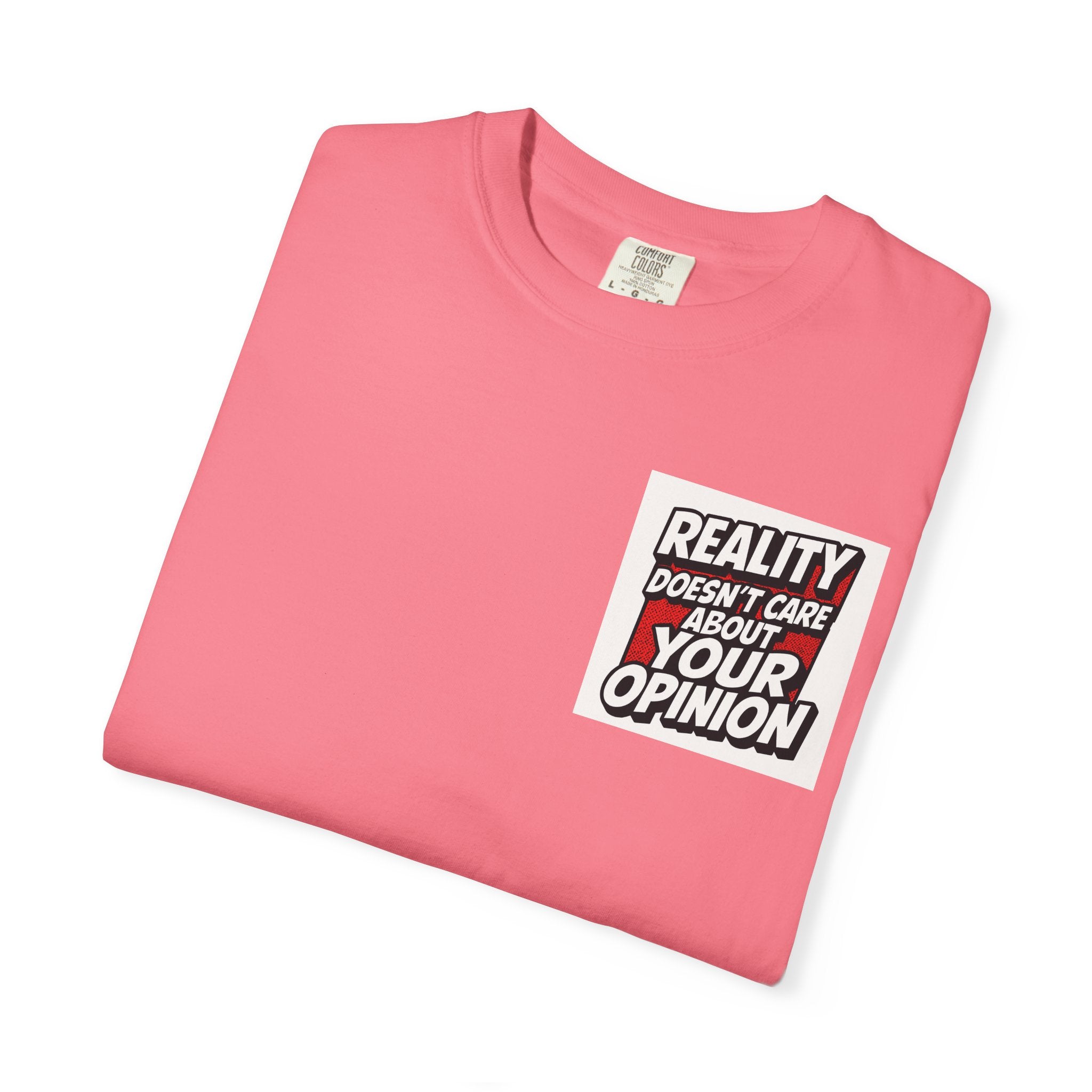 Reality Doesnt Care About Your Opinion | Garment Dyed Unisex T-Shirt | Comfort Colors 1717